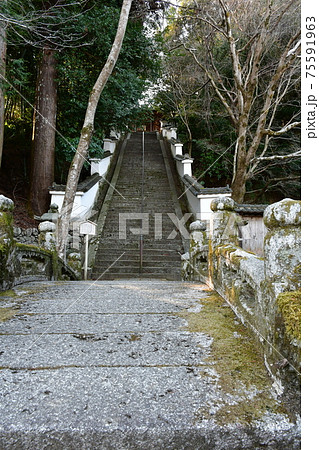 冬の西教寺 75591963