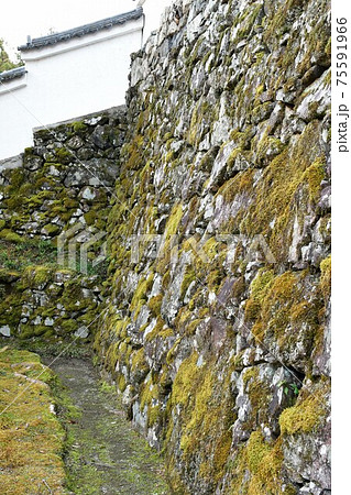 冬の西教寺 冬の西教寺 75591966