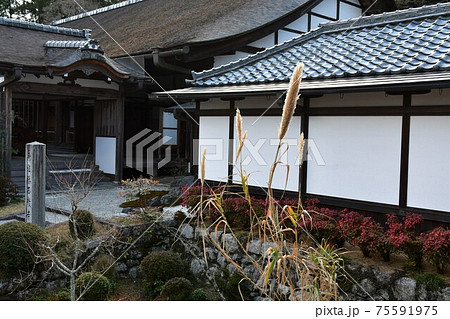冬の西教寺 冬の西教寺 75591975