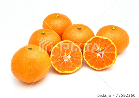 木熟きよみ 75592360