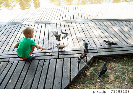 Little kid feeding pigeons on street in summer day in park 75593133