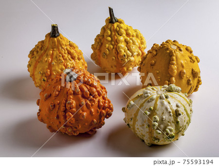 Decorative Gourd on white 75593194