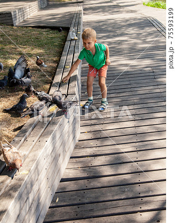 Little kid feeding pigeons on street in summer day in park 75593199