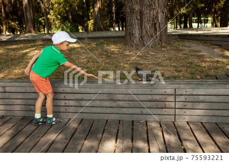 Little kid feeding pigeons on street in summer day in park 75593221