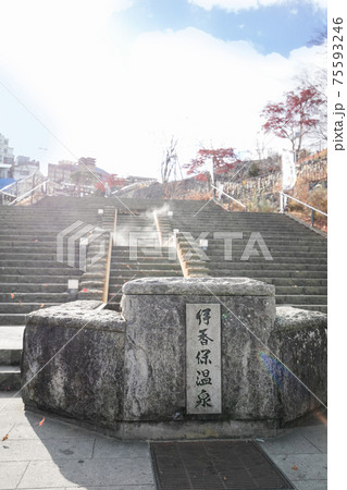 伊香保温泉の石段街 75593246
