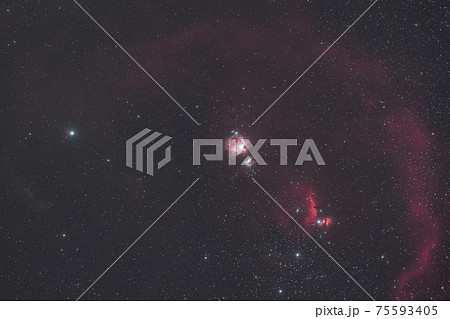 オリオン座の散光星雲 オリオン座の散光星雲 75593405