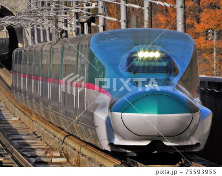 E5系　新幹線　はやぶさ 75593955