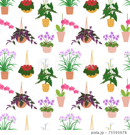 Seamless pattern from different potted house plants in colorful flower pots, orchid and begonia. Seamless pattern from different potted house plants in colorful flower pots, orchid and begonia. 75593978
