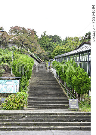 飯盛山への石段(会津若松市) 飯盛山への石段(会津若松市) 75594694