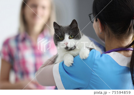 Veterinarian doctor holds cat in his arms 75594859