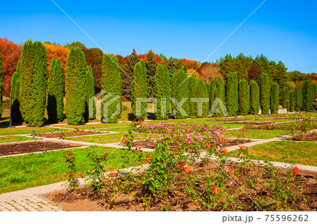 Rose garden in Kislovodsk National Park Rose garden in Kislovodsk National Park 75596262