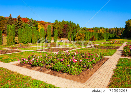 Rose garden in Kislovodsk National Park 75596263