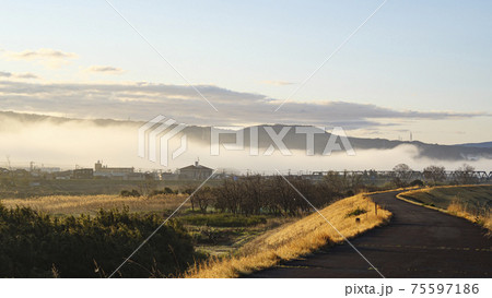 伊豆半島桂川の朝もや 伊豆半島桂川の朝もや 75597186