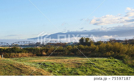 伊豆半島桂川の朝もや 伊豆半島桂川の朝もや 75597187
