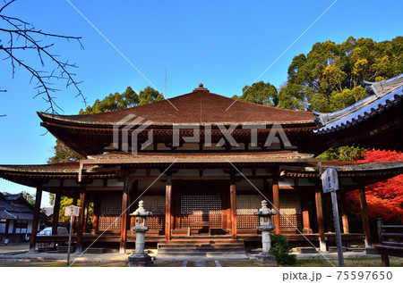 法界寺(日野薬師)の阿弥陀堂:京都伏見区日野 法界寺(日野薬師)の阿弥陀堂:京都伏見区日野 75597650