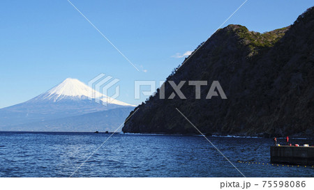 伊豆半島西伊豆絡みた富士山 75598086
