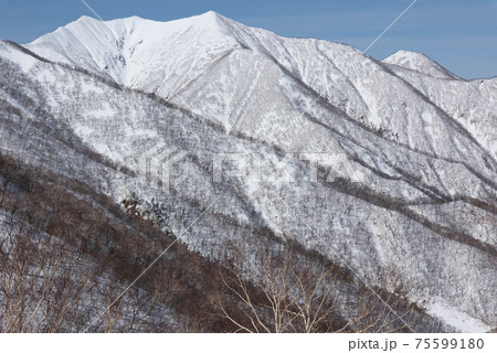 冬の日高山脈 トヨニ岳 冬の日高山脈 トヨニ岳 75599180