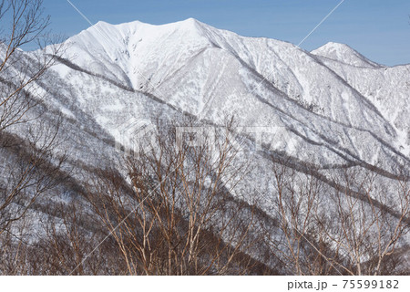 冬の日高山脈 トヨニ岳 冬の日高山脈 トヨニ岳 75599182