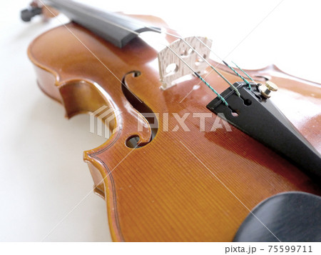 左から見たバイオリン 75599711