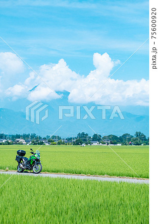 ツーリング:安曇野の田園地帯を行く(夏) ツーリング:安曇野の田園地帯を行く(夏) 75600920