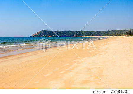 Beach in Goa, India 75601285