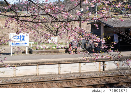 春のローカル戦　イメージ 75601375