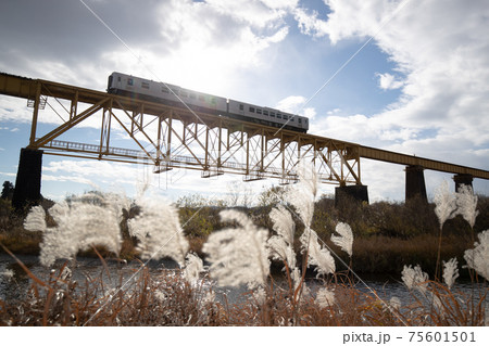 一ノ戸川橋梁を渡るGV-E400系気動車とススキ 75601501