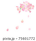 花びら舞う桜2 75601772