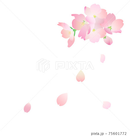 花びら舞う桜2のイラスト素材