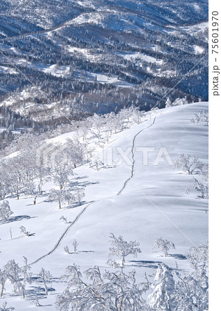 北海道でバックカントリー 北海道でバックカントリー 75601970