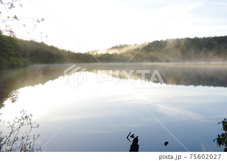 朝もやが立ち込める白駒池の水面 75602027