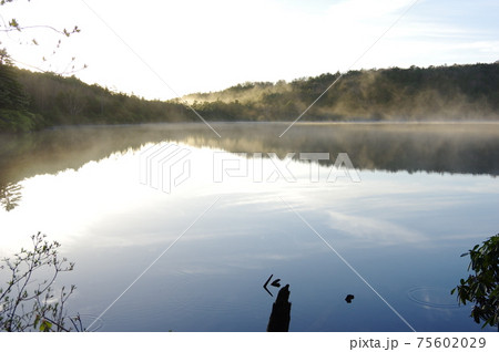朝靄が立ち込める湖 75602029