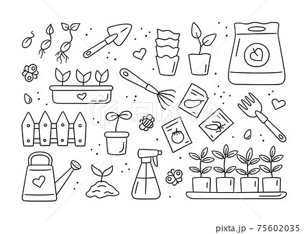 Seeds and seedlings. Germination of sprouts. Tools, pots and soil for planting 75602035