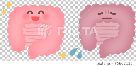 小腸健康，小腸脆弱 75602135