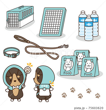 防災頭巾を被って非常袋を持った良い犬のコーギーと避難時に準備しておきたいグッズ 防災頭巾を被って非常袋を持った良い犬のコーギーと避難時に準備しておきたいグッズ 75603620