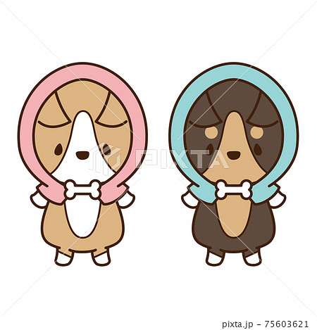 防災頭巾を被って直立している犬のコーギー 防災頭巾を被って直立している犬のコーギー 75603621
