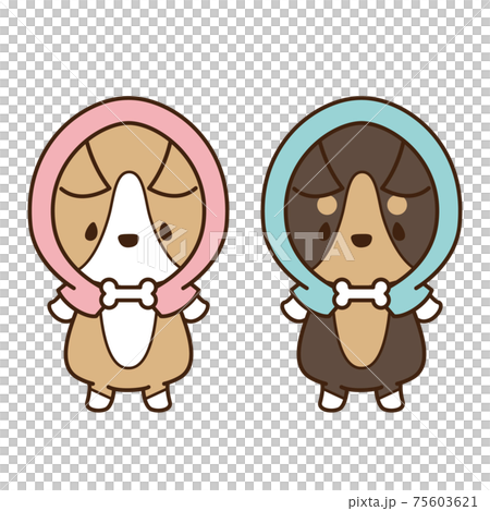 防災頭巾を被って直立している犬のコーギー 防災頭巾を被って直立している犬のコーギー 75603621