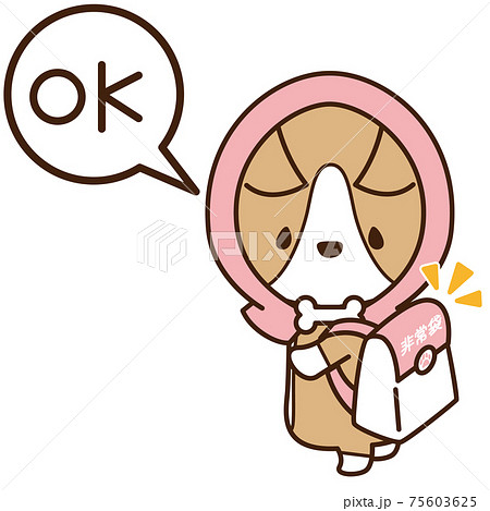 防災頭巾を被って非常袋を持った準備の良い犬のコーギー 防災頭巾を被って非常袋を持った準備の良い犬のコーギー 75603625