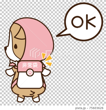 A well-prepared dog Corgi wearing a disaster prevention hood and holding an emergency bag 75603626