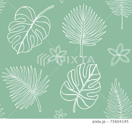 Vector seamless pattern of palm and monstera leaf Vector seamless pattern of palm and monstera leaf 75604195