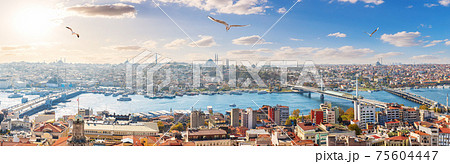 Istanbul panorama, bridges and the Golden Horn, skyline view 75604447
