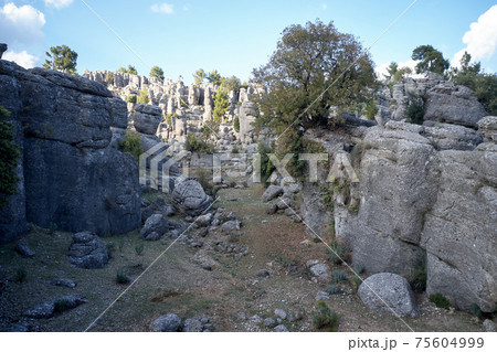 Adamkayalar rock formations on a summer day. 75604999