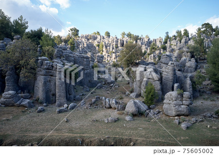 Landscape with picturesque rock formations. 75605002