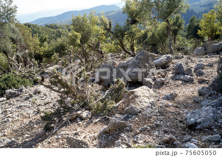 Mountain view in National Park of Manavgat, Antalya, Turkey. Mountain view in National Park of Manavgat, Antalya, Turkey. 75605050