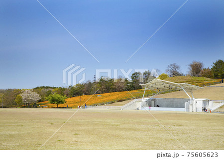 八王子山公園　中央広場 75605623