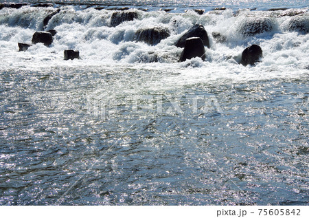 大量の水が轟音を響かせて堰を流れる河川の風景 島根県 安来市 飯梨川 晴れ の写真素材