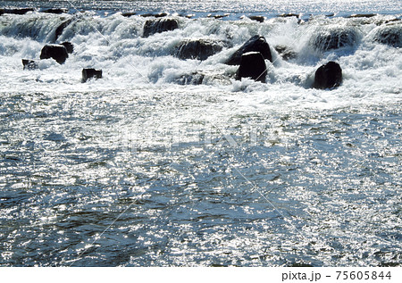 大量の水が轟音を響かせて堰を流れる河川の風景 … 島根県 安来市 飯梨川（晴れ） 75605844