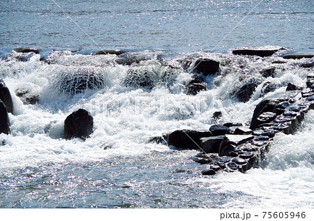 大量の水が轟音を響かせて堰を流れる川原の風景 … 島根県 安来市 飯梨川（晴れ） 75605946