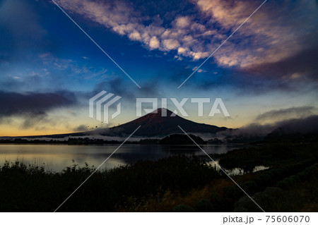 大石公園　河口湖　自然　屋外　風景　田舎　観光　旅行　山梨県　富士山　デート　ドライブ　夏　春 75606070
