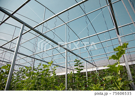 inside close farming to planting food product inside close farming to planting food product 75606535